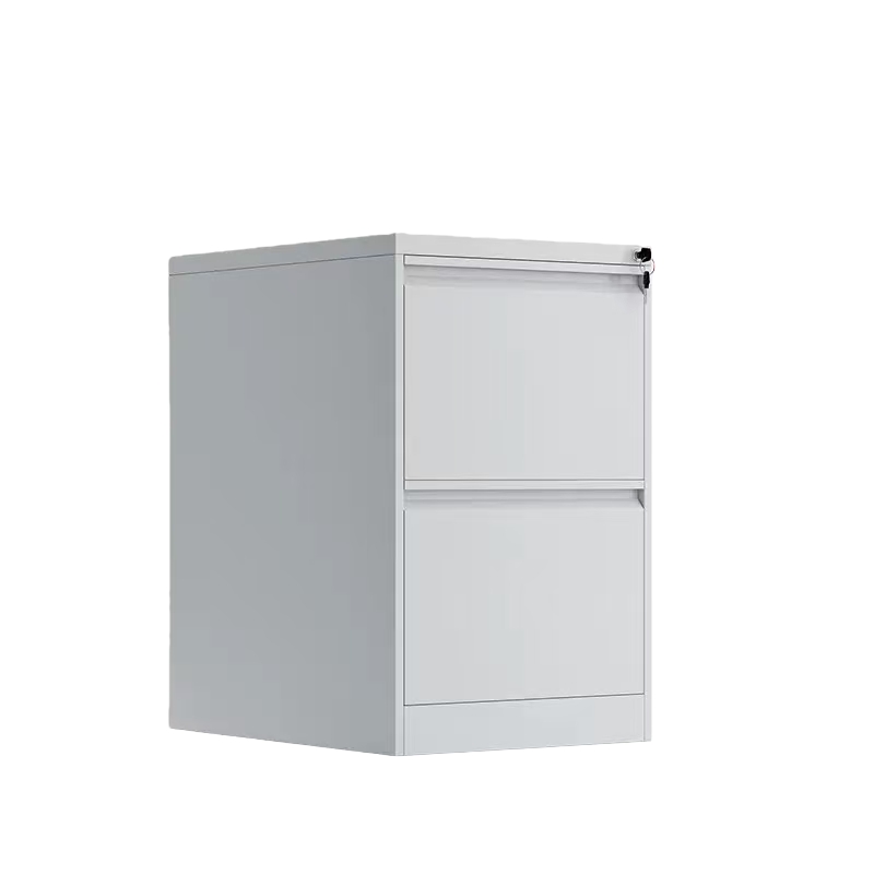 steel multi purpose file cabinet (复制) steel multi purpose file cabinet (复制)